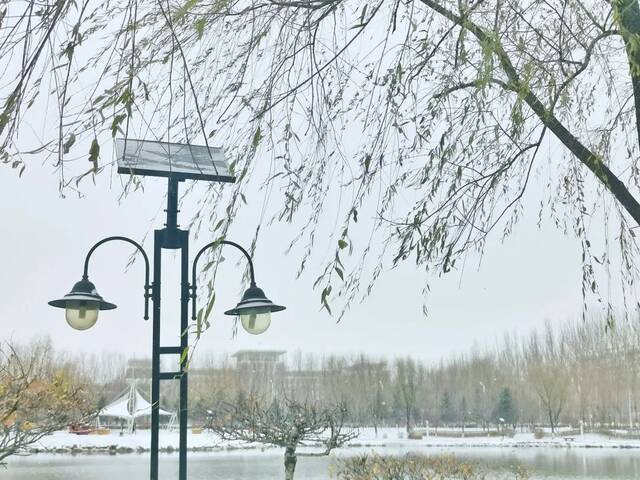 一场立冬雪，欣逢吉大园。