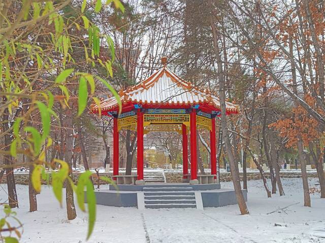 一场立冬雪，欣逢吉大园。