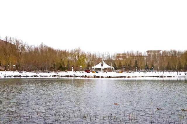 一场立冬雪，欣逢吉大园。