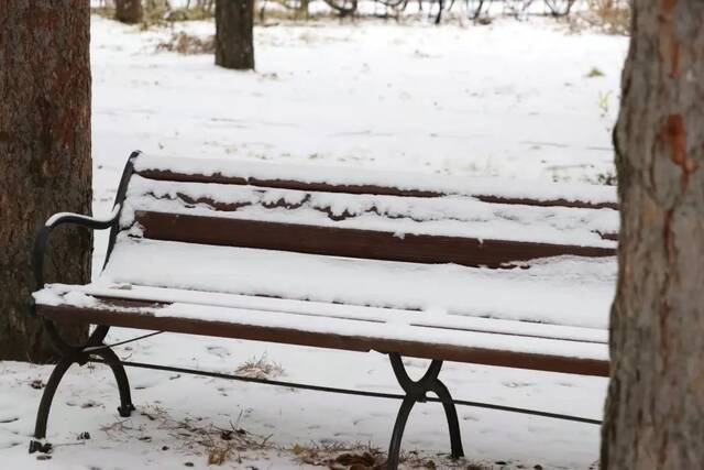 一场立冬雪，欣逢吉大园。