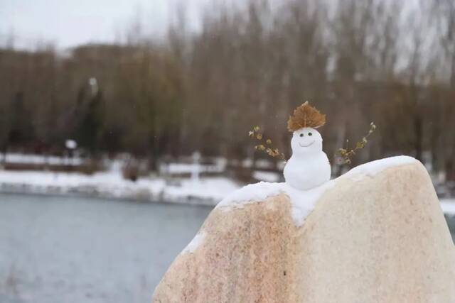 一场立冬雪，欣逢吉大园。