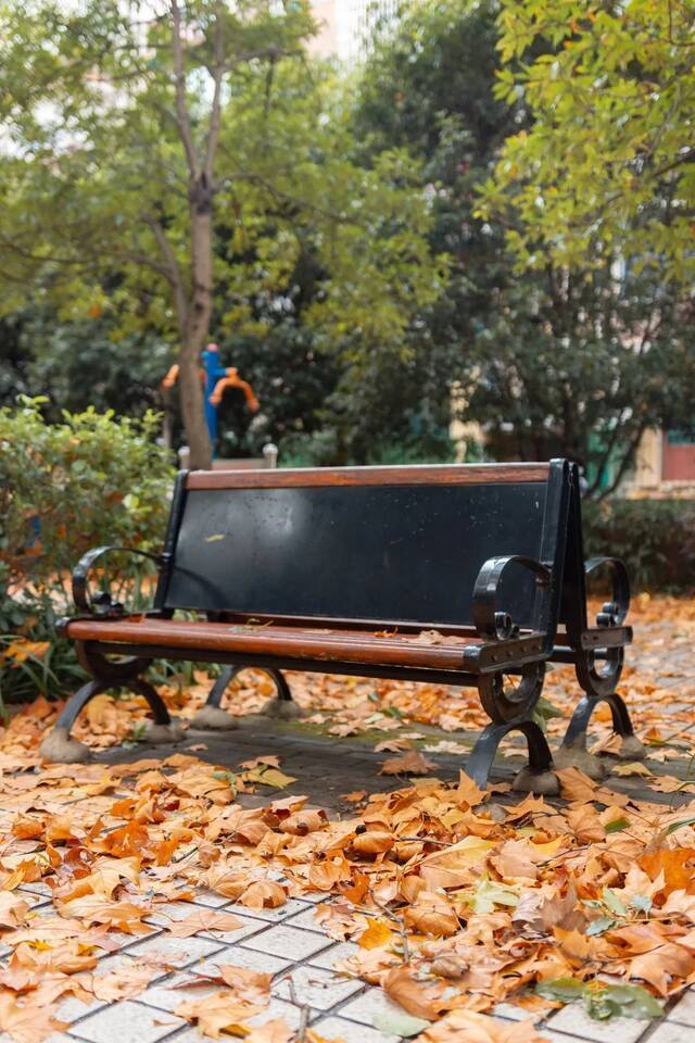▲落叶环绕在校园里的长椅周围（彭雨格摄）
