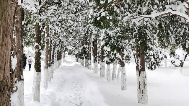 “走，扫雪去！”