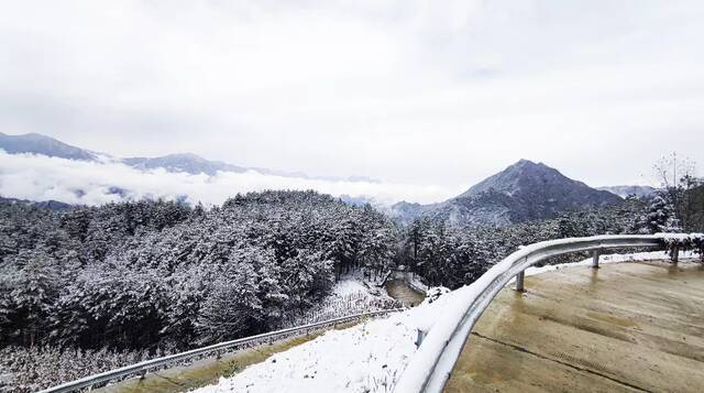 城口县航空茶场雪景徐信摄