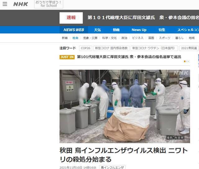 NHK：秋田检测出禽流感病毒，开始扑杀鸡