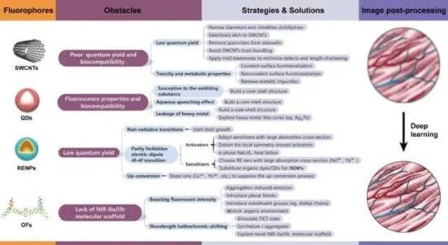 图5.概述了有机和无机荧光团面临的主要问题，以及提高成像性能和生物相容性的相应策略。