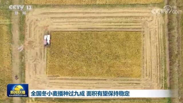 全国冬小麦播种过九成 面积有望保持稳定