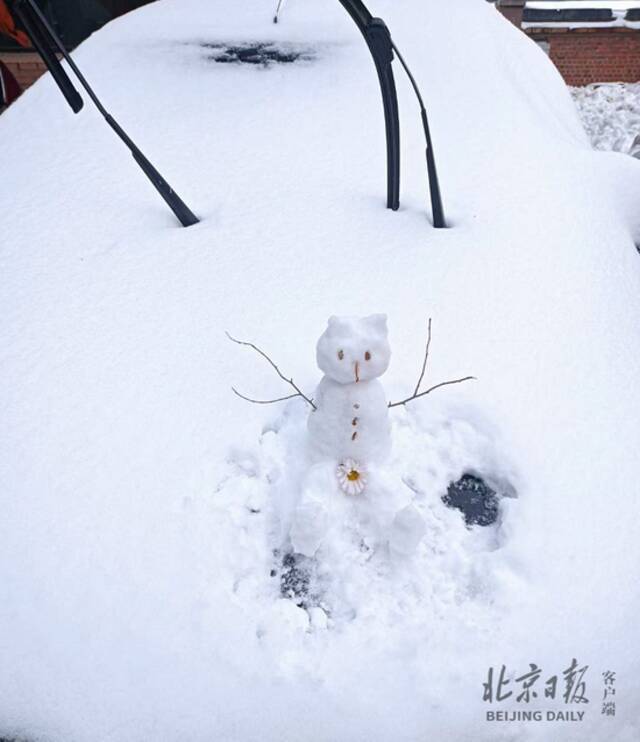 沈阳已连续第三天出现降雪