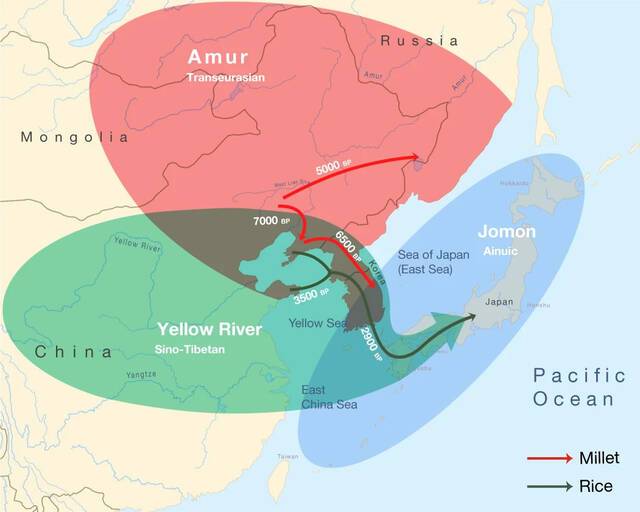 最新研究将泛欧亚语系的语言传播与东北亚新石器时代早期的农业人群联系起来
