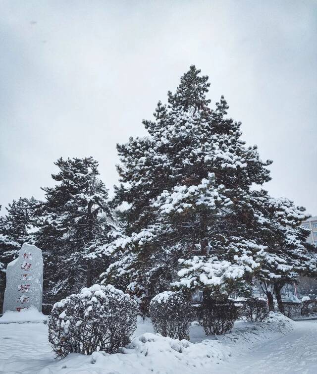 CUSTV  初雪·长理