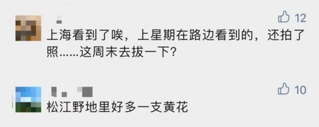 “加拿大杀手一枝花”冲上热搜！上海多地出现踪迹！后果不堪设想...