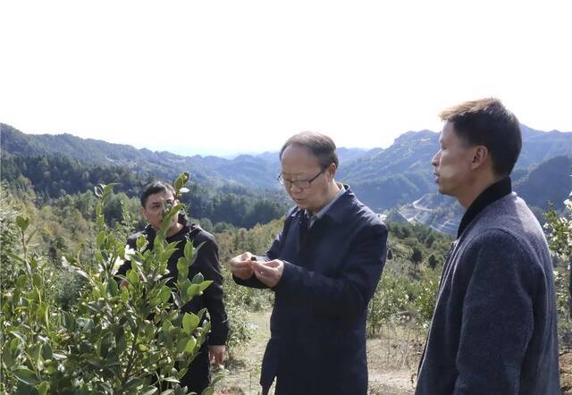 在乡村振兴中发挥驻村第一书记的“师大力量”