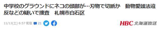 残忍！日本一中学操场上发现被割下来猫头，警方正进行调查