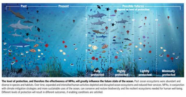 《海洋保护地指南：实现全球海洋目标的框架》研究发布
