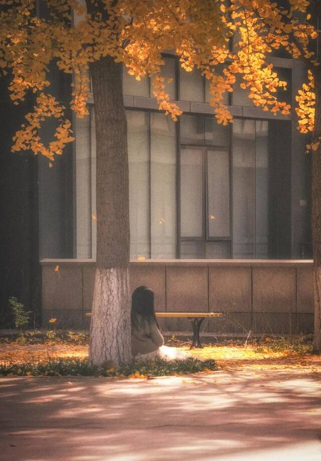 抓住飞落的黄叶，把它存进记忆