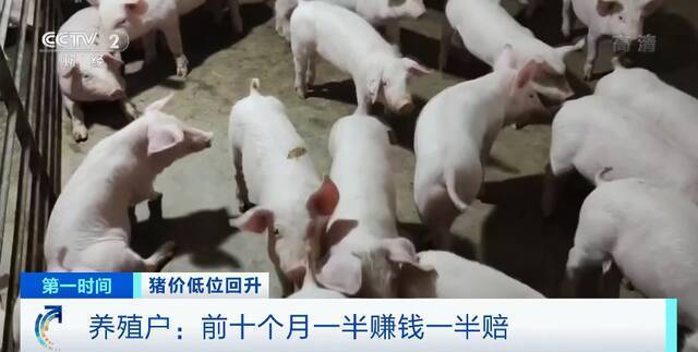 猪肉价格涨近30%！还会继续涨吗？农业农村部释放重要信号