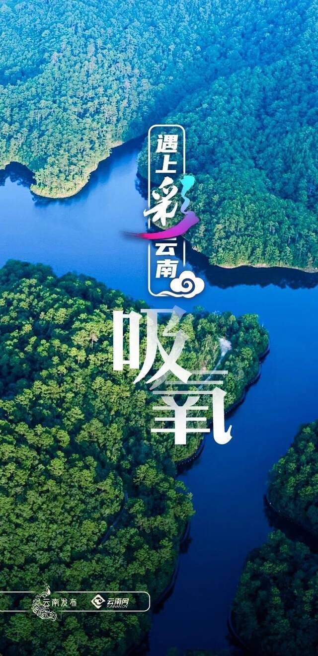 遇上彩云南  吸氧