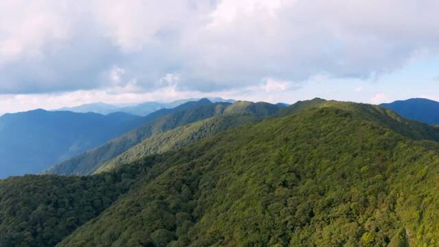 遇上彩云南  吸氧