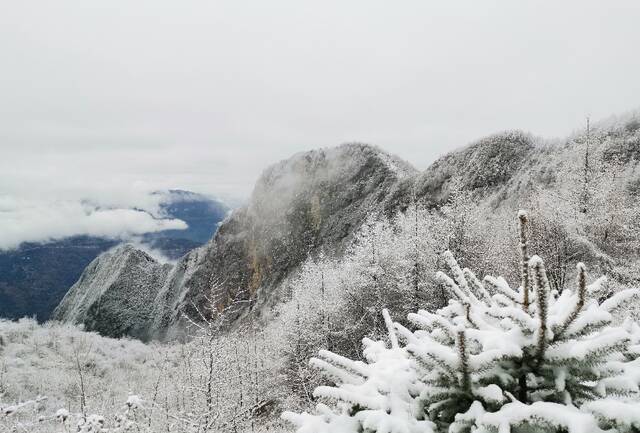 巫山高海拔山顶上白雪皑皑（资料图）向勇摄