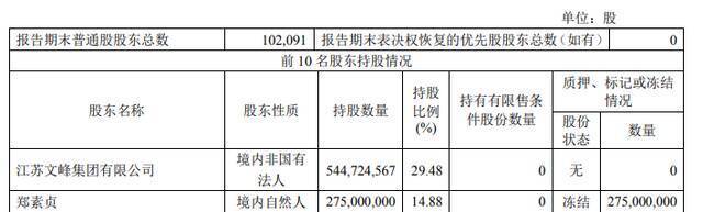 文峰股份的部分股东持股情况