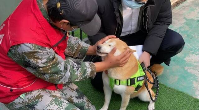 ·临别前，小贾最后一次给登登喂零食。