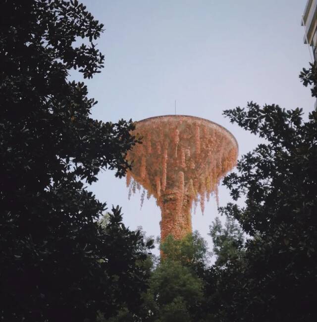 华中科技大学的秋，有7种颜色？！