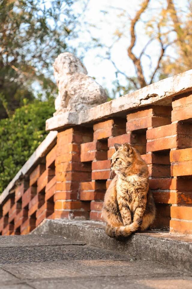 绝美！华东师大河畔秋歌