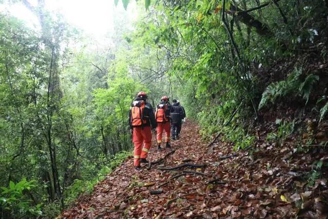 地质人员在哀牢山失联已5天 云南已投入34车145人搜救