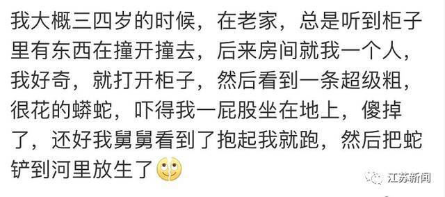 极毒、巨大！海关截获4米长眼镜王蛇！登上热搜第一，网友吓坏：我人没了