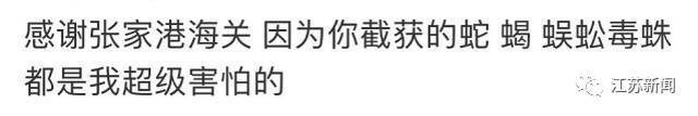 极毒、巨大！海关截获4米长眼镜王蛇！登上热搜第一，网友吓坏：我人没了