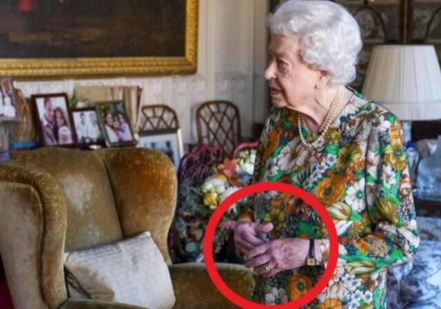 英国女王一个月来首露面，一双“紫手”抢镜…