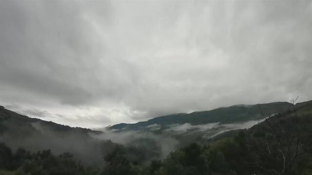 哀牢山4人失踪第8天：雨雾影响救援 重装穿越组24人进山搜索