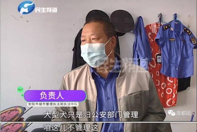 停职、道歉，当事人首次详细回应！安阳“狗咬人”事件追问