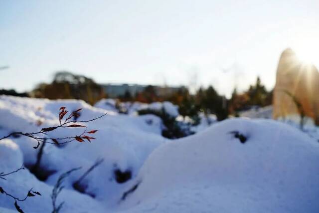 小雪遇大雪，牵念暖人心