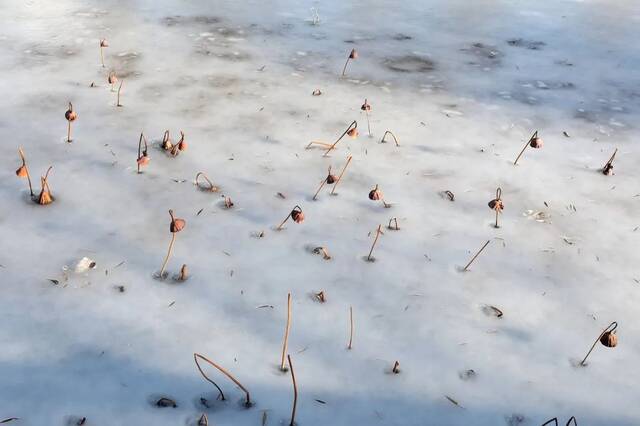 小雪遇大雪，牵念暖人心