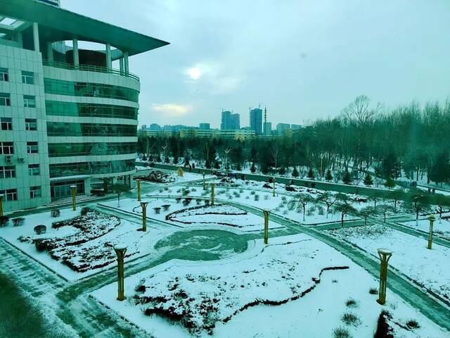 小雪遇大雪，牵念暖人心