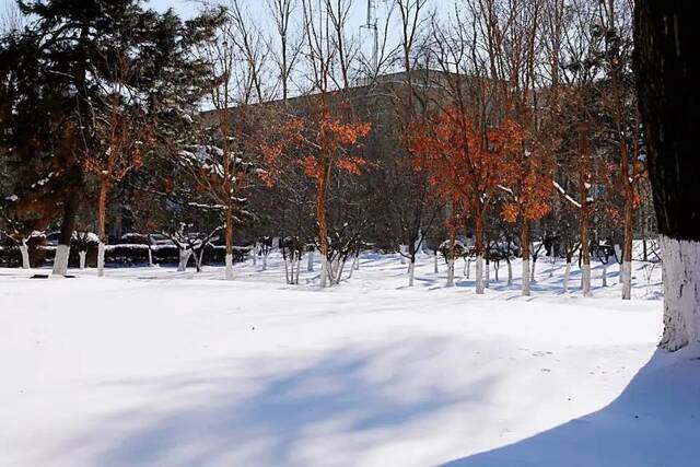 小雪遇大雪，牵念暖人心