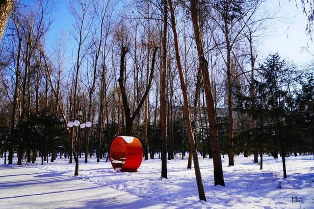 小雪遇大雪，牵念暖人心