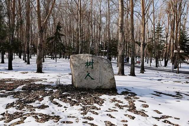 小雪遇大雪，牵念暖人心