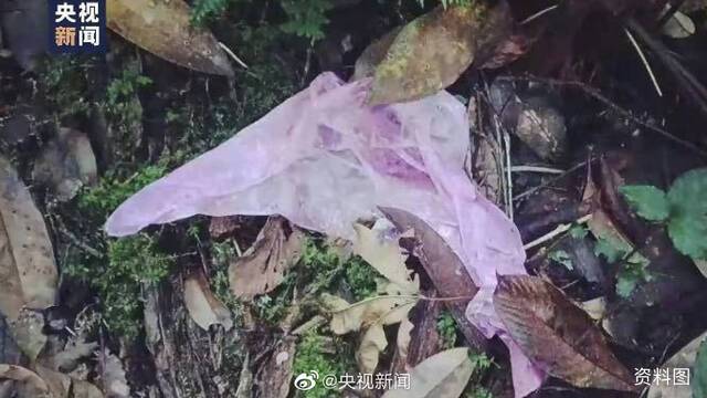 4名遇难地质人员进山为调查森林资源 遇难4人最小25岁