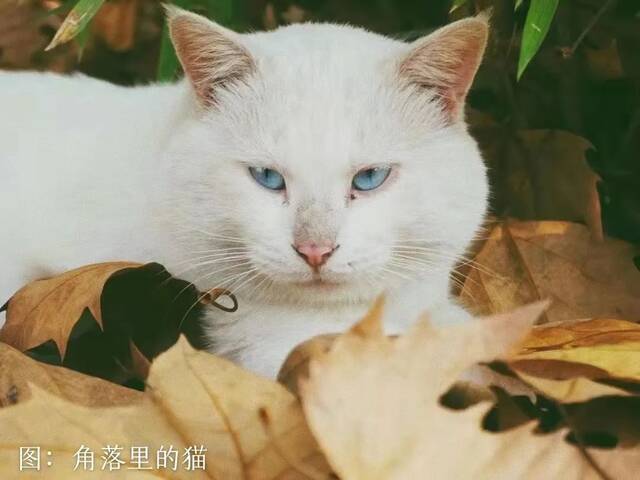 南农节气  小雪寻雪