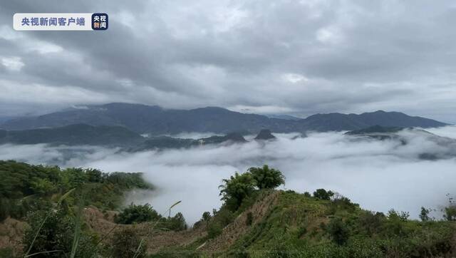 云南哀牢山区域今晚或有暴雨 指挥所：所有救援人员务必尽快出山