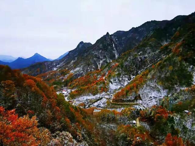 城口各地纷纷飘雪城口县文旅委供图