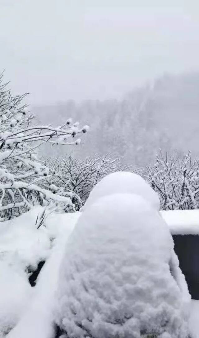 雪中的金佛山官小康摄