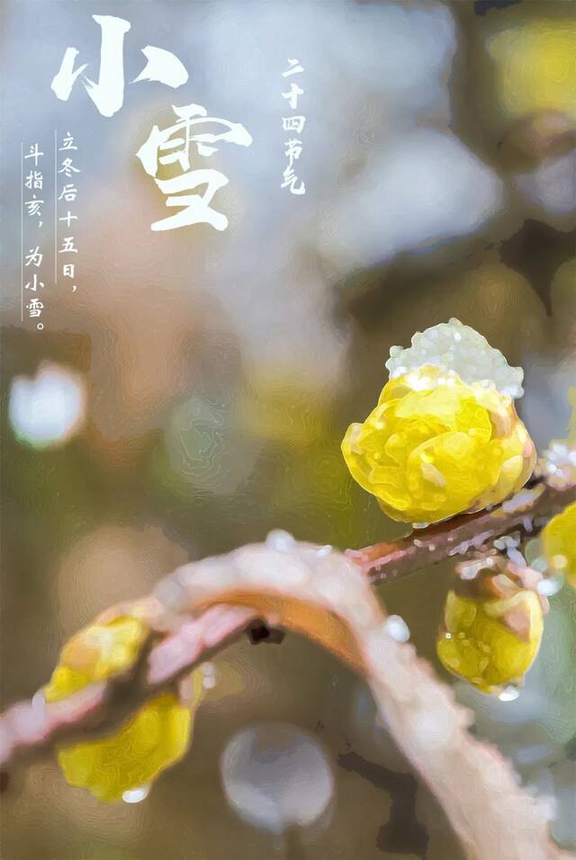 小雪  小雪天初寒 莫负河海好时光