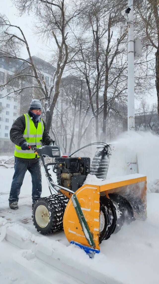 雪落哈工程，簌簌飞花凝冰色