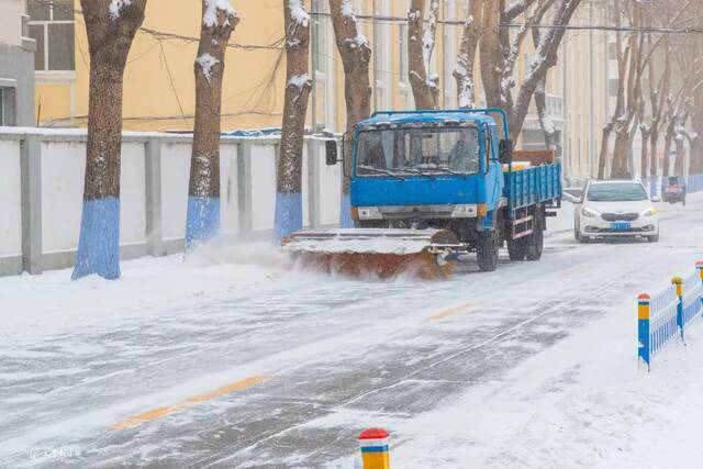 雪落哈工程，簌簌飞花凝冰色