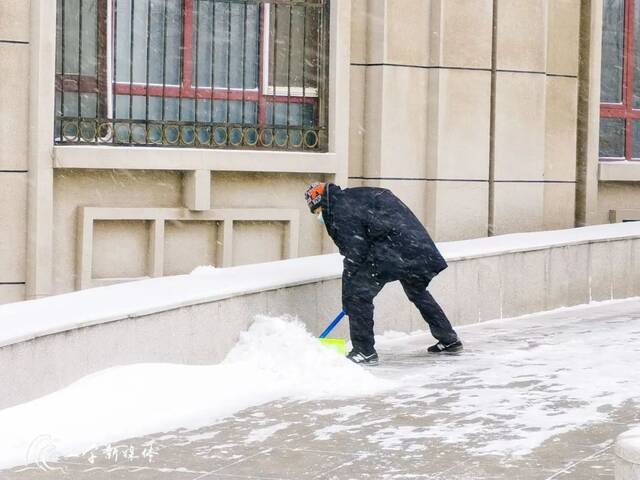 雪落哈工程，簌簌飞花凝冰色