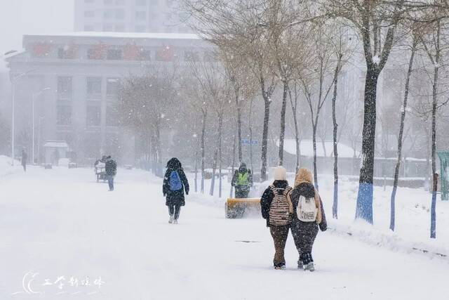 雪落哈工程，簌簌飞花凝冰色