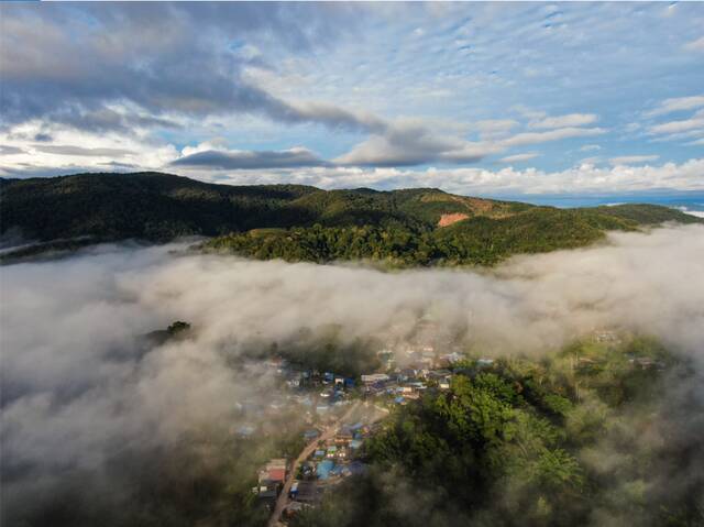 西双版纳基诺山的村寨浸润在云海中李云生摄